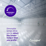 2 ft. DIMMABLE Direct-wire LED Tubes