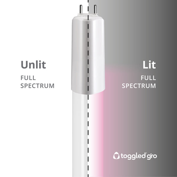 Tubo A LED T8 Con Attacco G13 In Vendita Online - Würth Italia - Foto 5