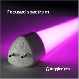 Focused Spectrum Toggled gro LED T8/T12 Tube (4 ft.)