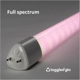 Tubo LED T8/T12 de espectro completo conmutado (4 pies; paquete de 2)