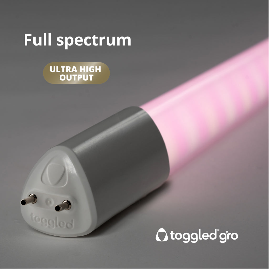 Ultra High Output Full Spectrum gro LED T8/T12 Tube (2 and 4 ft.)