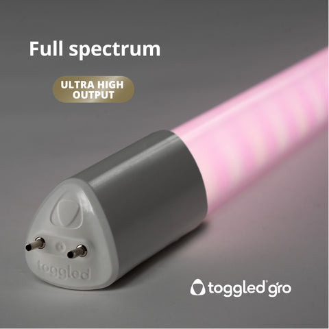 Tube gro LED T8/T12 à spectre complet à très haut rendement (2 et 4 pieds)