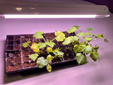Luminaria LED para taller de cultivo de 2 pies (con dos tubos LED Gro de salida ultra alta)